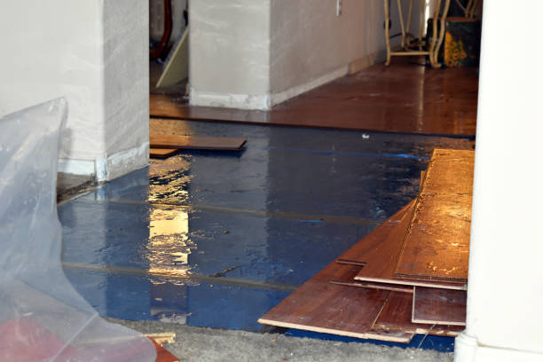 Professional Storm Water Damage Restoration technician working in Glen, NH